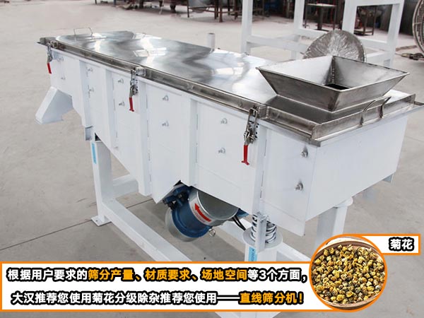 菊花直線自動篩 菊花直線自動篩